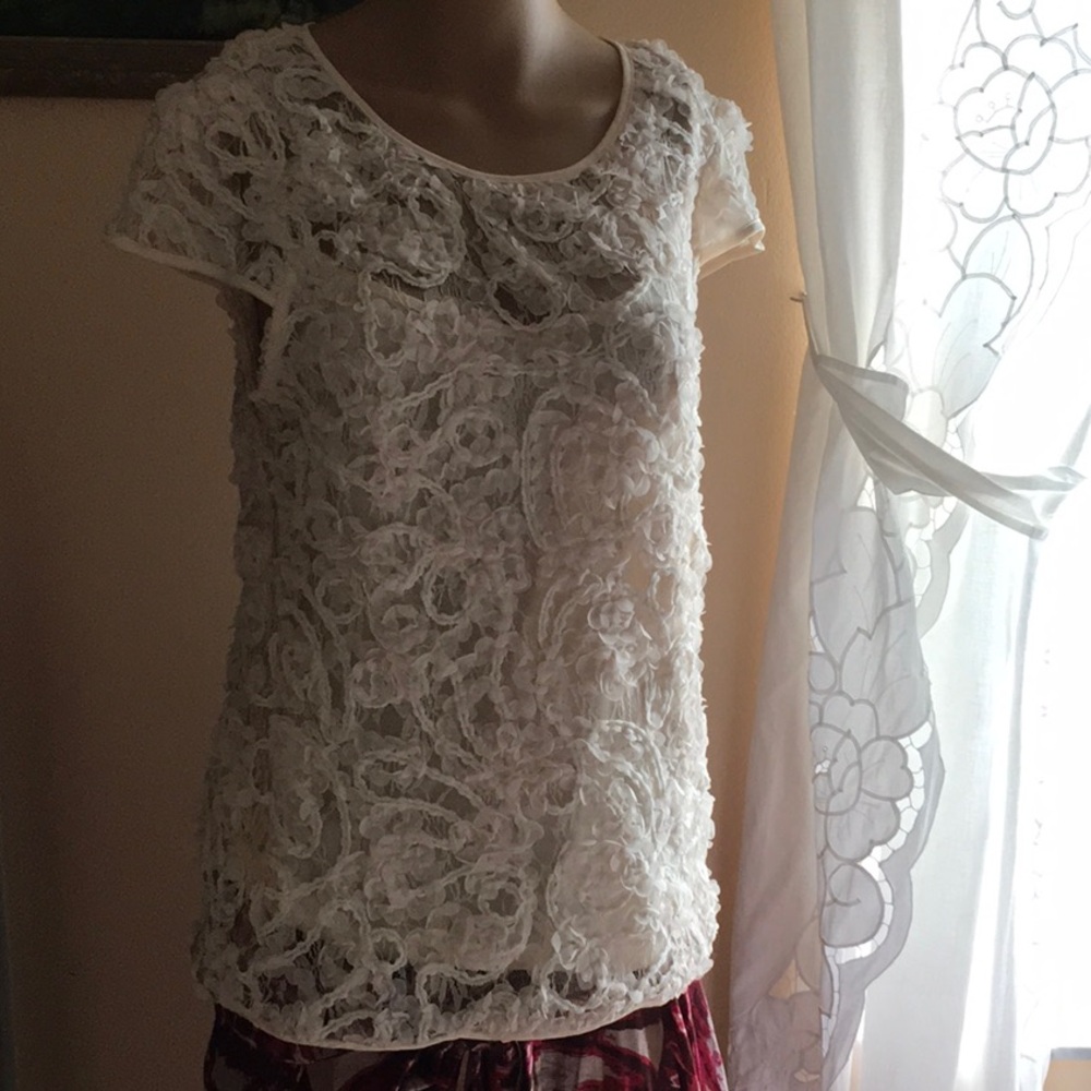 Eggshell Lace Top. - image 1